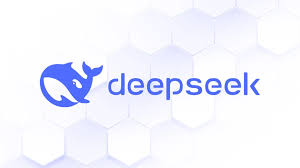 deepseekplay com